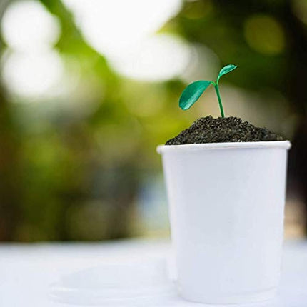 Generico Bicchieri di Carta Monouso 240ml/50 pz Ecofriendly Bianchi in Cartoncino USA e getta Bevande Fredde e Calde Compleanni Feste