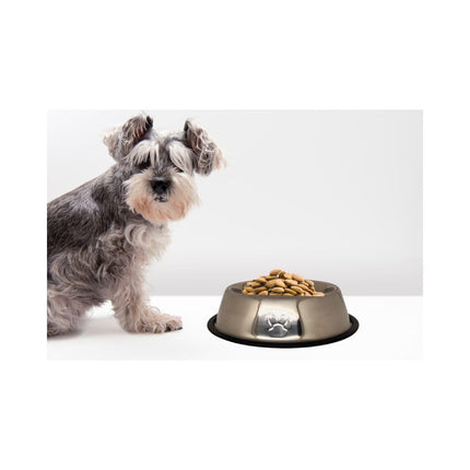 Ciotole per Cani in Acciaio Grandi 18 Cm per Acqua per Cibo - Base in Gomma antiscivolo