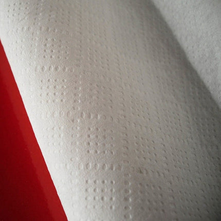 6 rotoli di carta di Camilla smartply-eco pretagliato a 25 cm